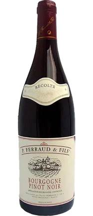 Sagna - Bourgogne Pinot Noire 'Ferraud & Fils' 