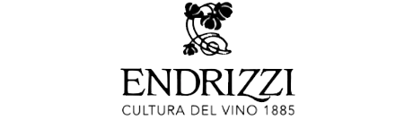logo Endrizzi